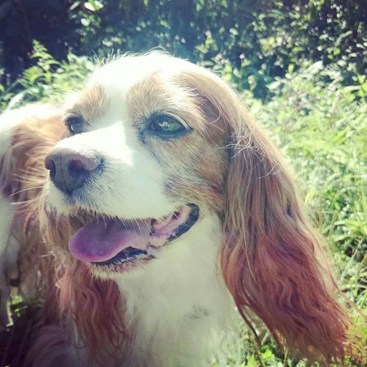 F11aa982 30bd 444f bf3b 599b036e0dc6