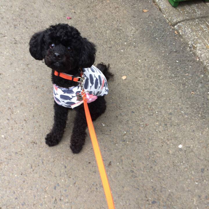 F11abbcc e40b 40cd 9adb 704d4cc7c84c