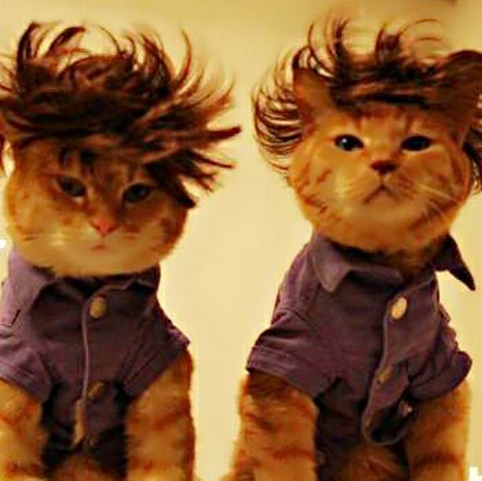 F11b1480 3373 4d49 9c9d 58d41555ac0c