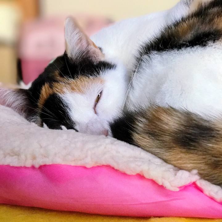 F11b41e1 96b8 4824 a32f 60760a37ba26