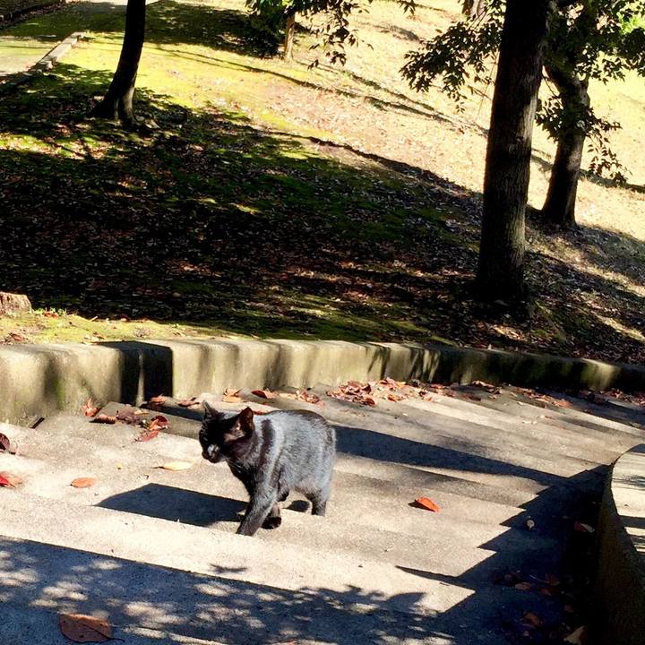 F11b5253 f728 4e76 85af 0ac590f28877