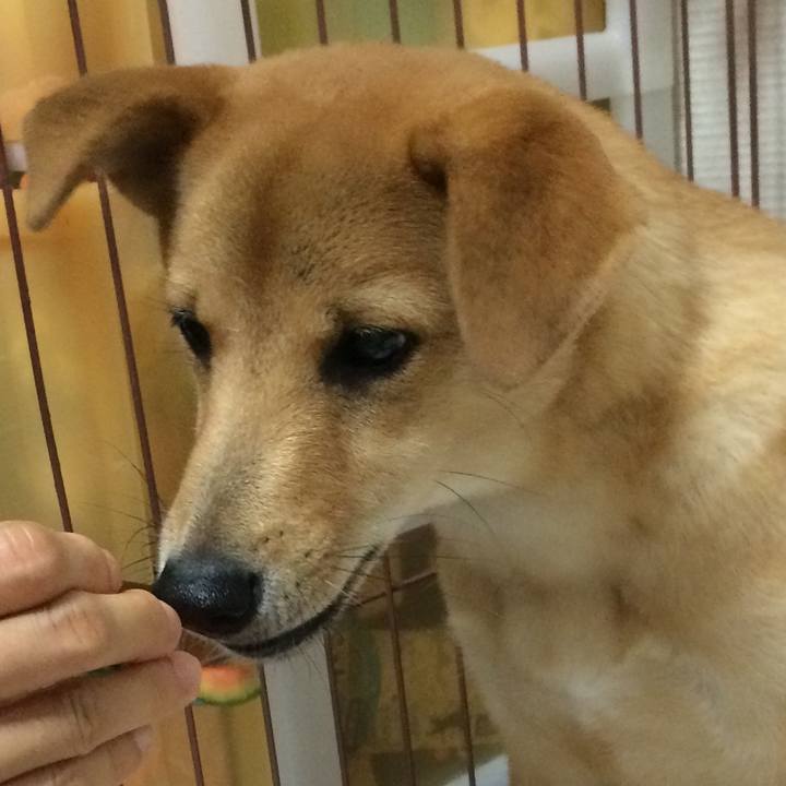 F11c0a11 6e4c 48d0 a0c2 51685275c400