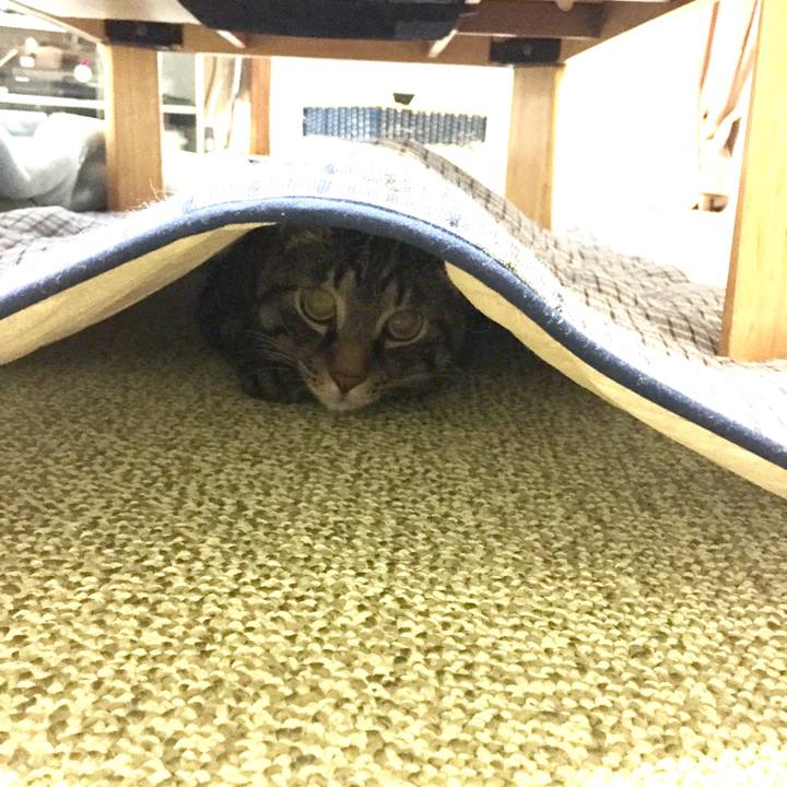 F11c6495 96af 4a06 8ab1 74c4b5531f78