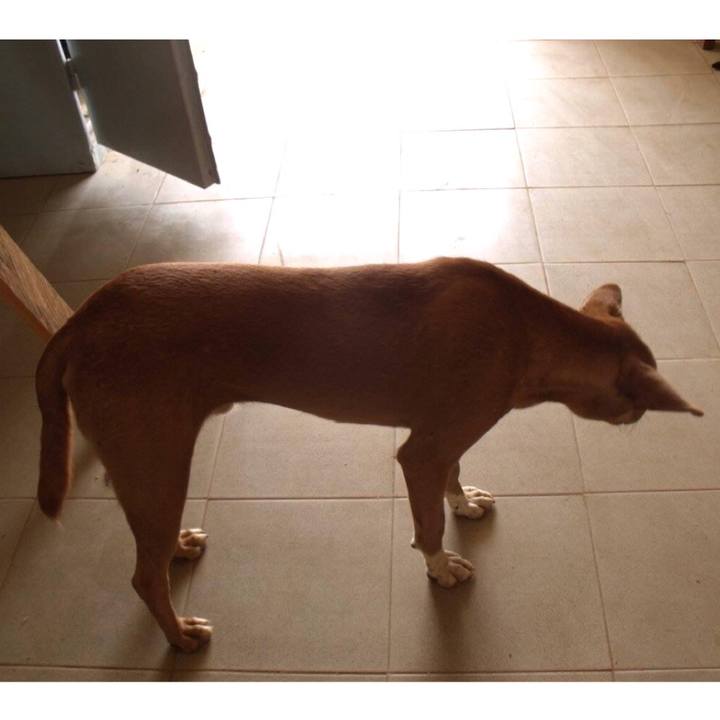 F11cbaf9 15c0 48d1 bd76 c130a151394a