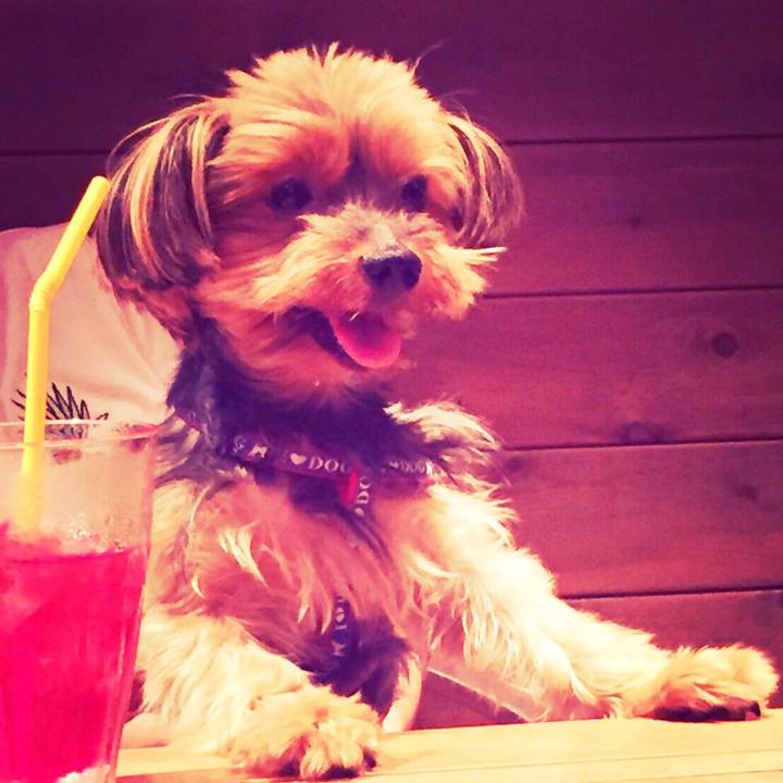 F11cc230 743f 4510 986e 645523945ab8