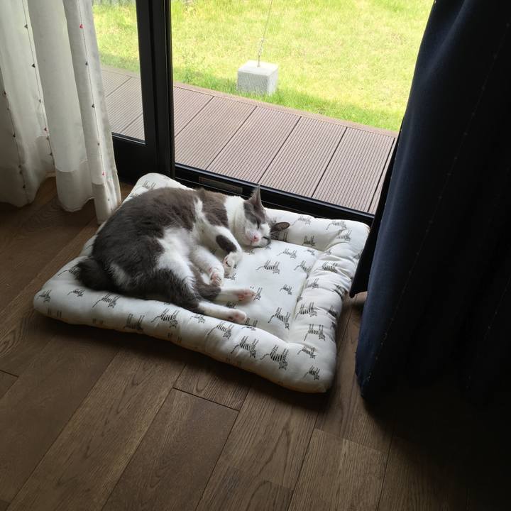 F11e4449 d171 487f 87f8 5fc7b2155b34