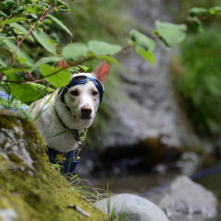 F11e92ef ecc9 4380 902b ee9e9a718e97