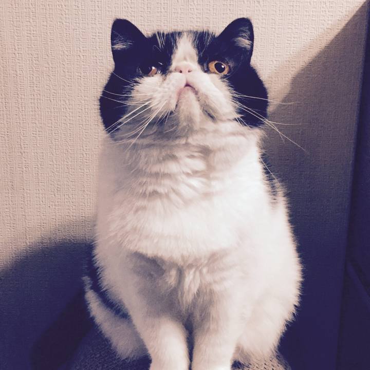 F11ed183 4019 40cb b13d 424abcb0b58b