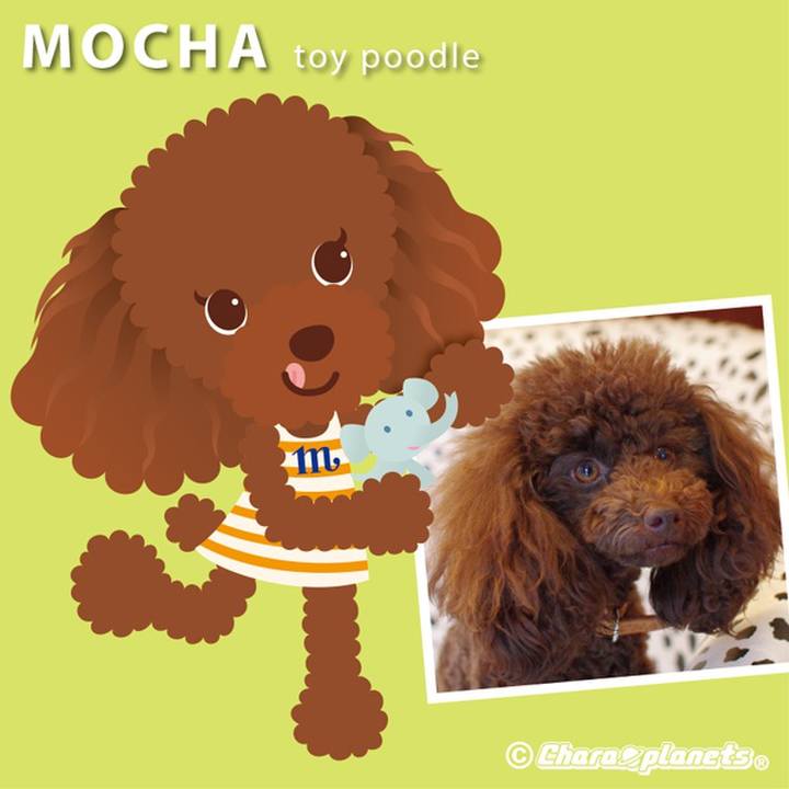 F11f0379 f639 4c41 ad4b 80a4f785cb47