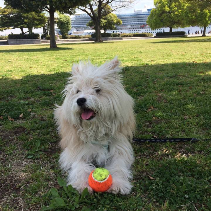 F11f7c39 bd5d 4c1d a6ca 3a58be767438