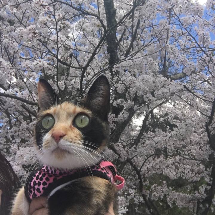 F11fc66c dd1e 4e27 8359 f00001536b6f