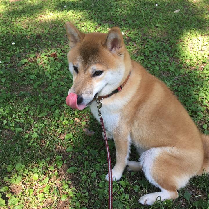 F11fd768 97bc 4187 b540 49b2d73a23ba