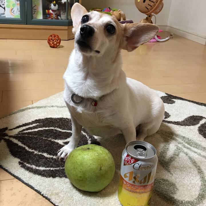 F12004c7 80d2 40fb b2fc 8db7d5f54f7d