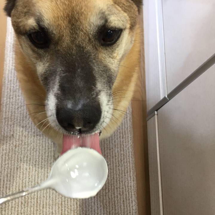 F1201942 6afa 4fb3 abb1 5ad9a0f36e6f