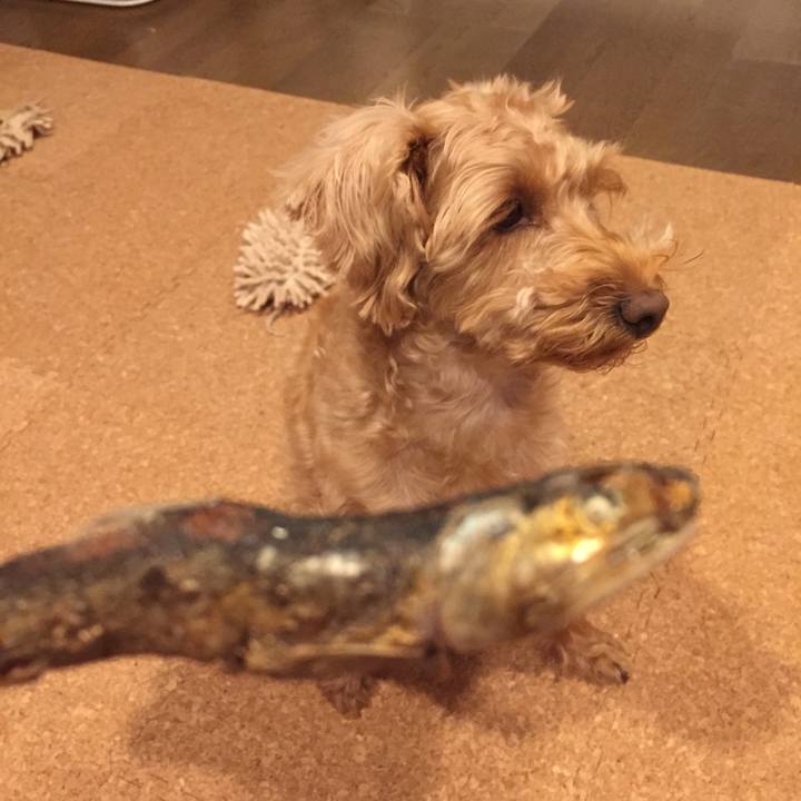 F12023d9 51e3 4b5c a7de d526287cfb9e