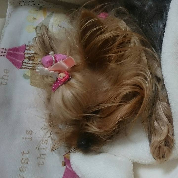 F1203155 f957 45fc a707 64234f7da196