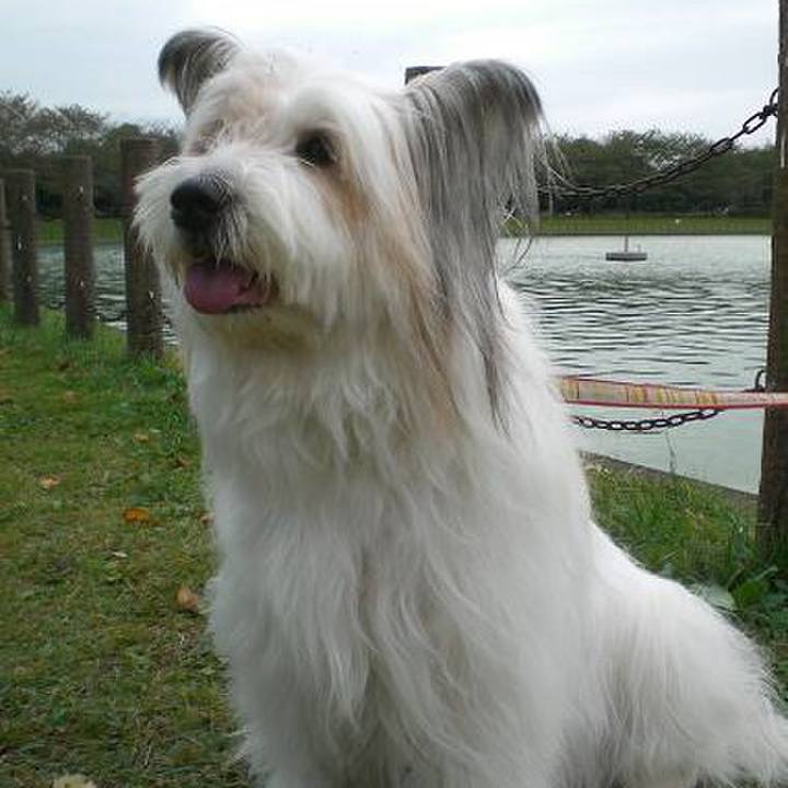 F120475b 2d6b 40a2 8608 6aba8a985c35