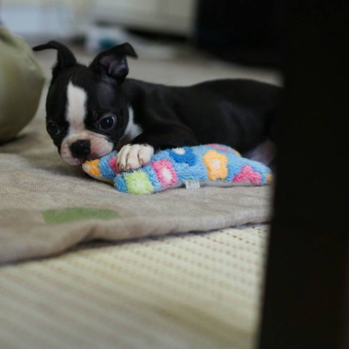 F1209570 d30c 42fc b767 cb5a781c000b