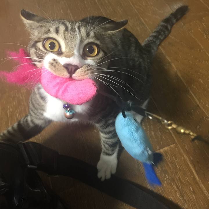 F120ba61 6b19 422b b079 f948643bb3e5