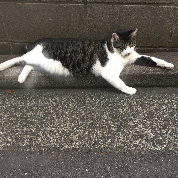 F1216bcf 1175 4f8c a7a6 646084ceb1ef