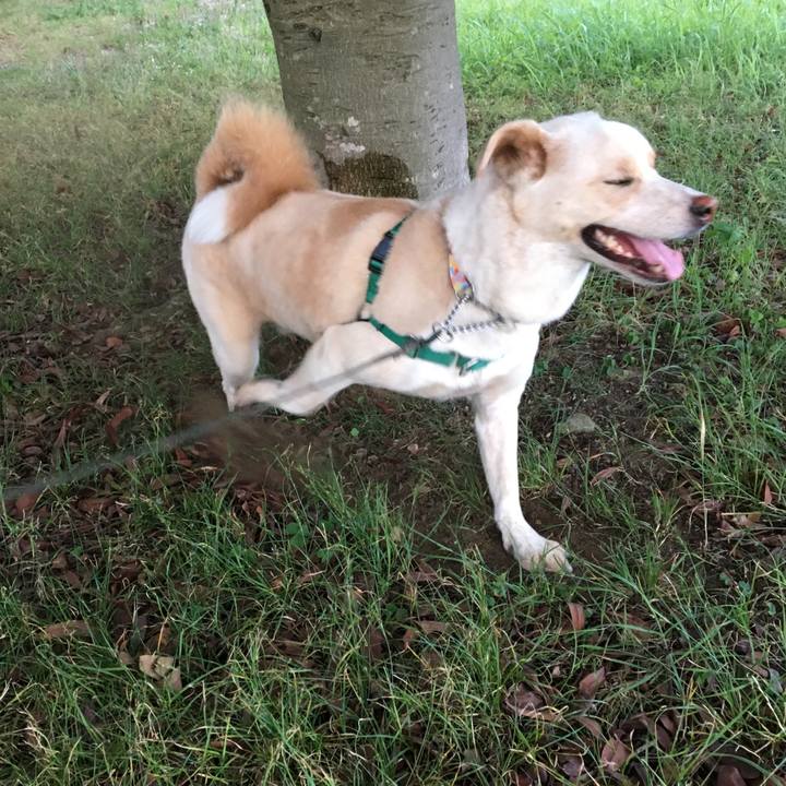 F121b47a f716 4bbe ad0f 7d6aa5092e6b