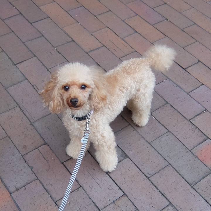 F121df97 c166 460c 99c5 b112c87b6261