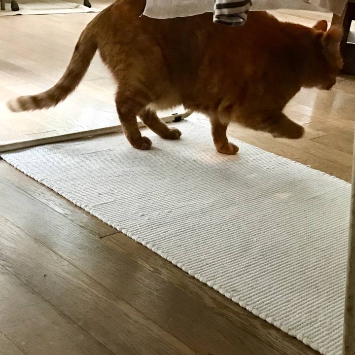 F121f7b3 c71c 480d 808b 96b9d638f5d4