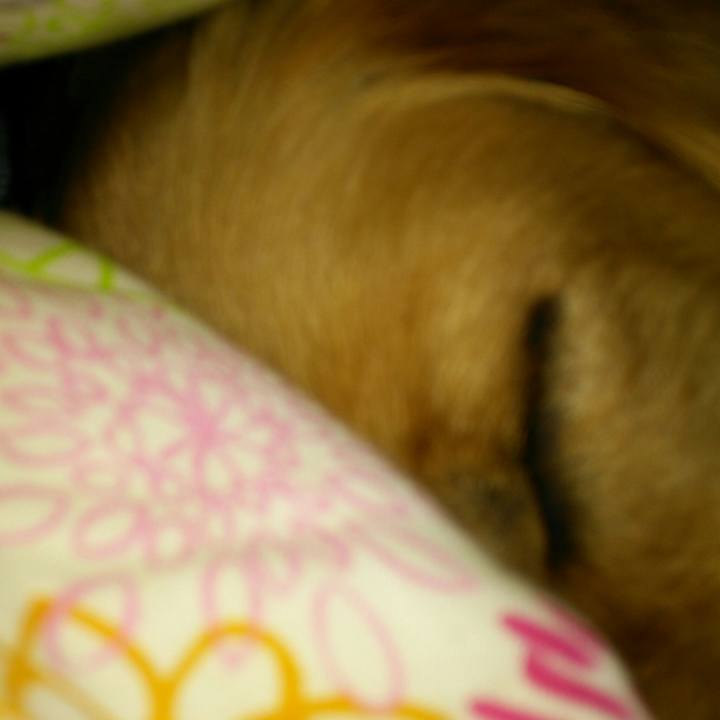 F1224b2d 564d 4c6e ae9f 099ee50766a7