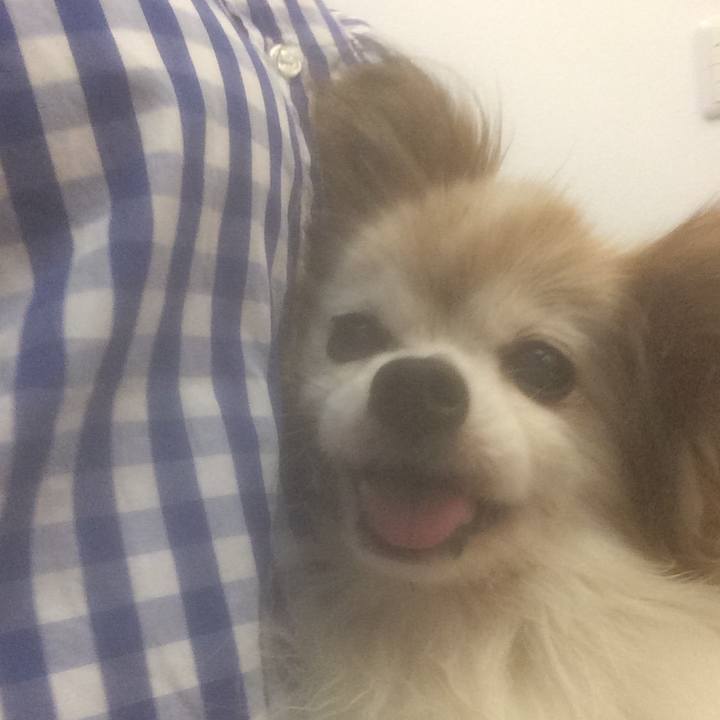 F1224e9d 4627 429d 92f0 9eaa0d38560b