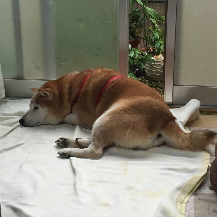 F122b705 a1f6 4cec 925f 16c5f4c0f5fe