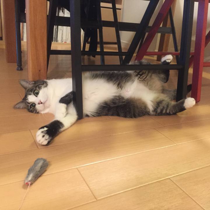 F122bc9b a3b8 4850 a629 f3982f5ff82c