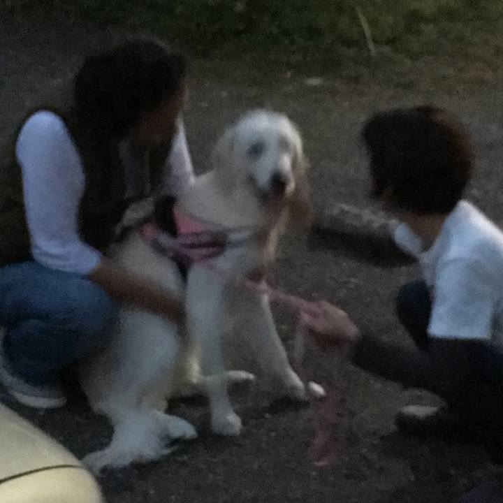 F122df52 8add 4364 8d40 3785d2a71451