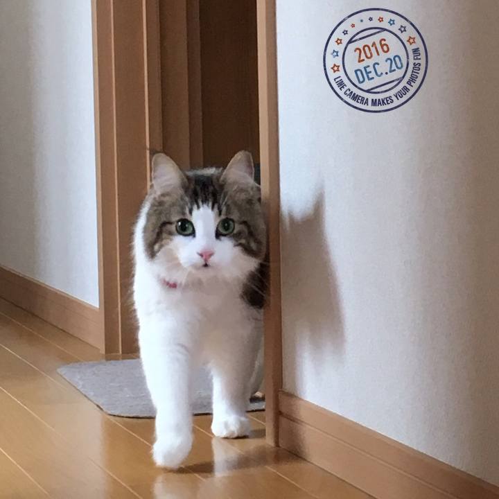 F122e6da 2779 47dc 8730 bf897d7e0b3a