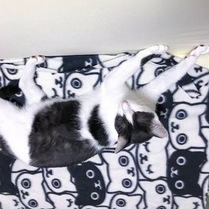 F123358a 3645 46cc b3ce fc796634836f