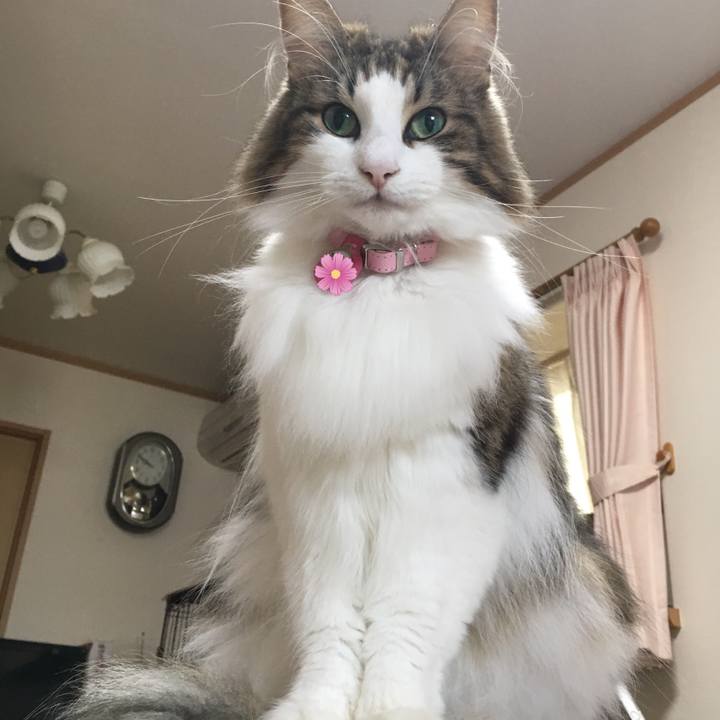 F1233785 a410 44ba 89df b6c6d818baea