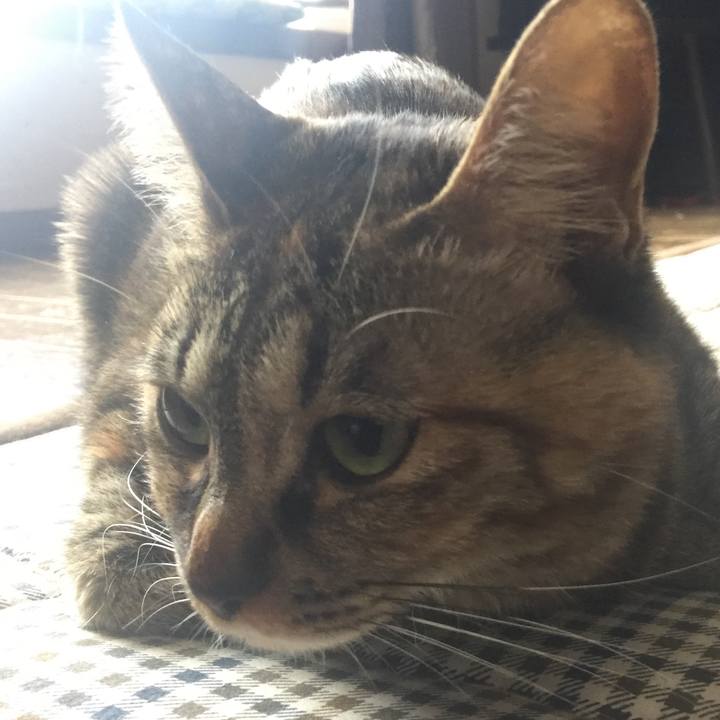 F1235d35 45f0 453d 982e 9f6a968d0d4a