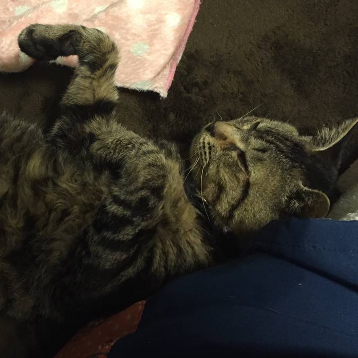 F1240ffe a2a9 4f87 9a16 e19baeeb9368