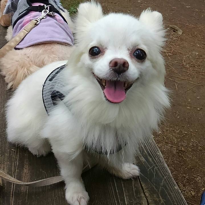 F1241fe4 cd9b 4c0d a021 68a40b2c8ccc