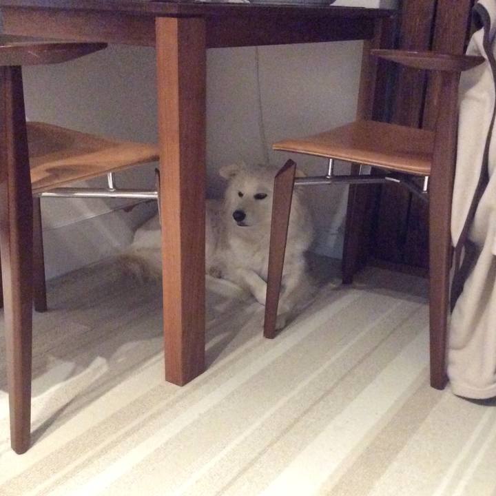 F125aeb1 e156 4d9a 9b3e ef2d081dc981