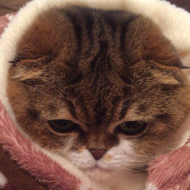 F12697ec ed9d 467d ba4b 52c89469d041