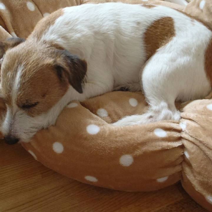 F12724f2 ba5c 4771 a16a 0b4a179276d1