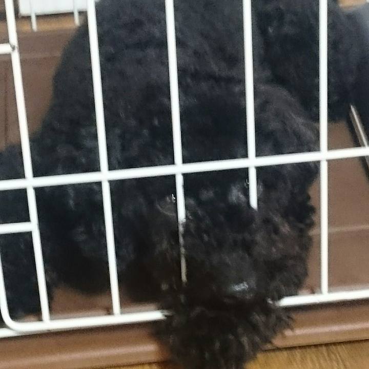 F1273f7d ba69 46ec a8a9 87c9d0c1ce17