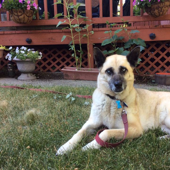 F1275e88 954c 4a15 b28c 85b8969c8062