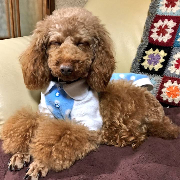 F1279d40 d66a 47c3 bd9f 62b048891106