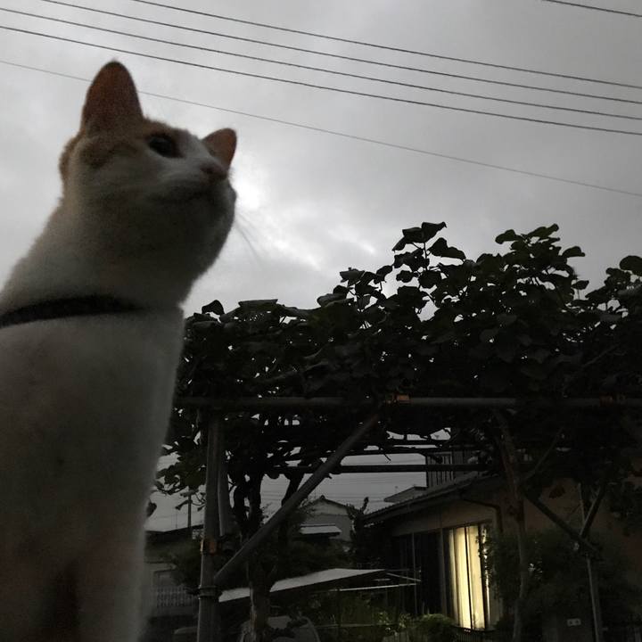 F127fbdc e3e3 4455 b227 4d80e0627359