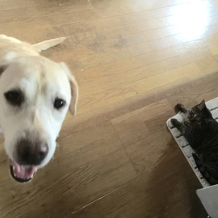 F128989e aa3c 40ee 934e 86decb6c8b1c