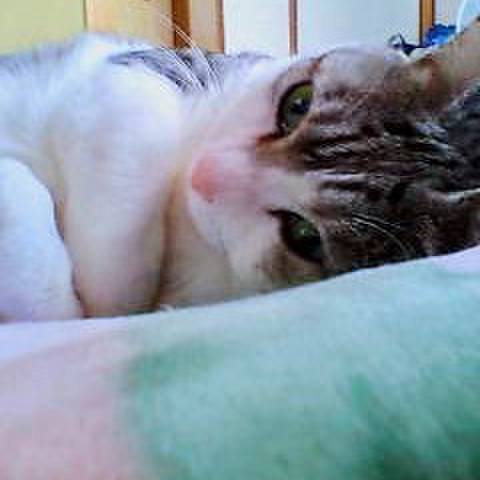 F1295247 5bda 4a2d 8842 770af7bd71cb