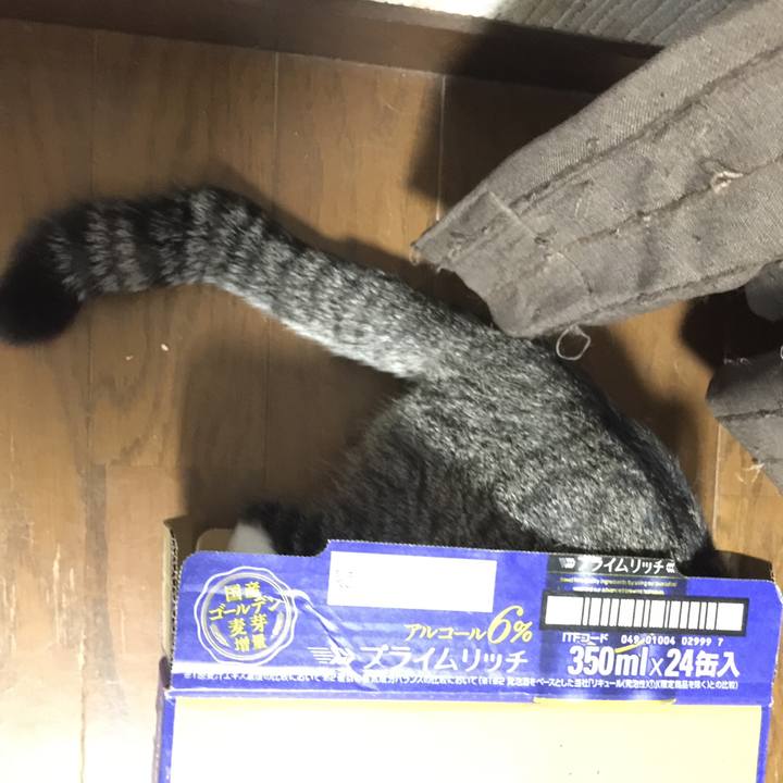 F1299bb3 dd26 4703 a941 f19c9f9827a6