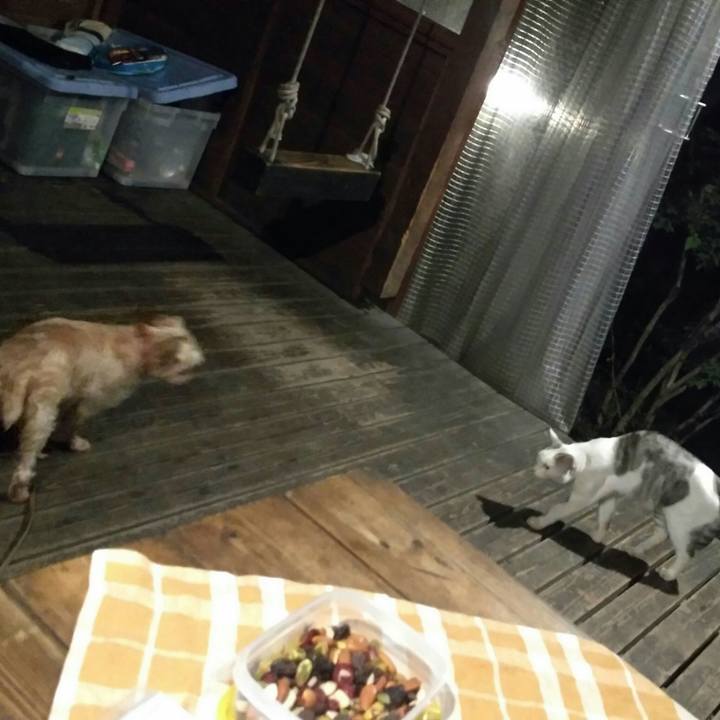 F12add9c c246 4e30 b480 97246833ec06