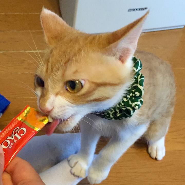 F12ae3fc 3b0f 4212 823e 52980677032c